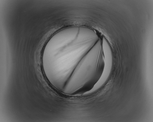 X0000086740673200705111635
