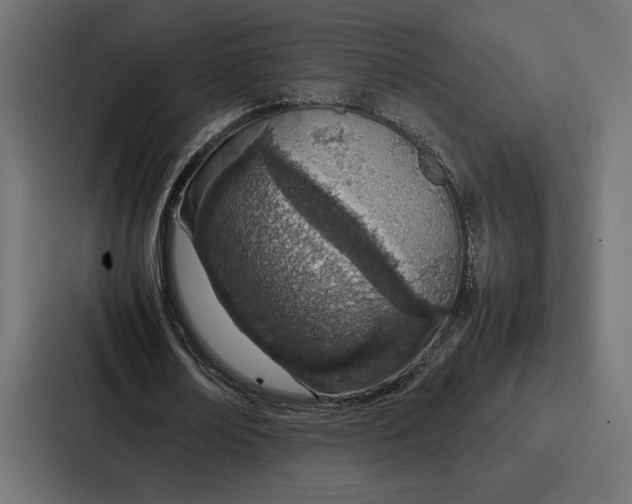 X0000086740674200705111635