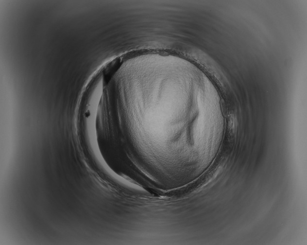 X0000086740676200705111635