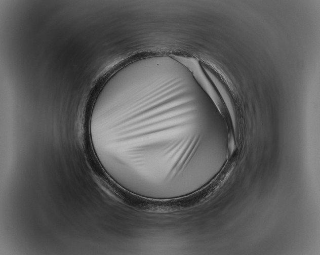 X0000086740677200705111635
