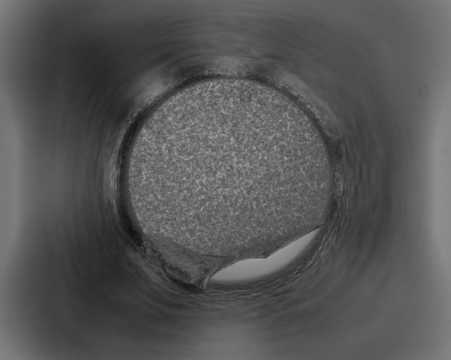 X0000086740679200705111635