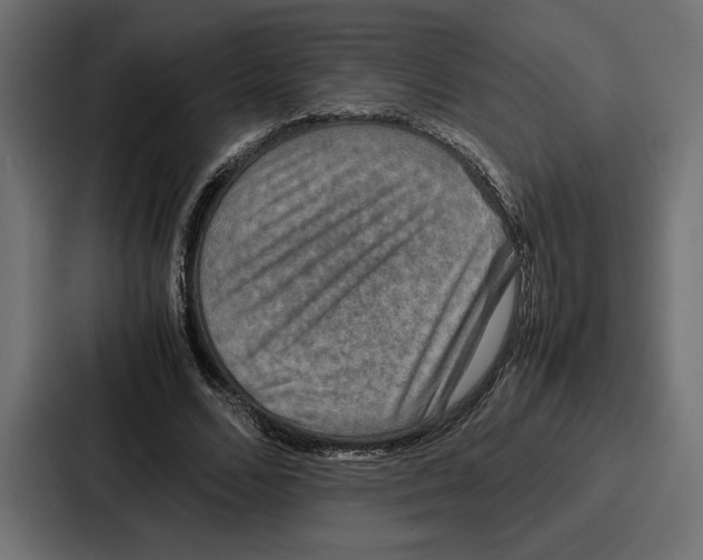 X0000086740680200705111635