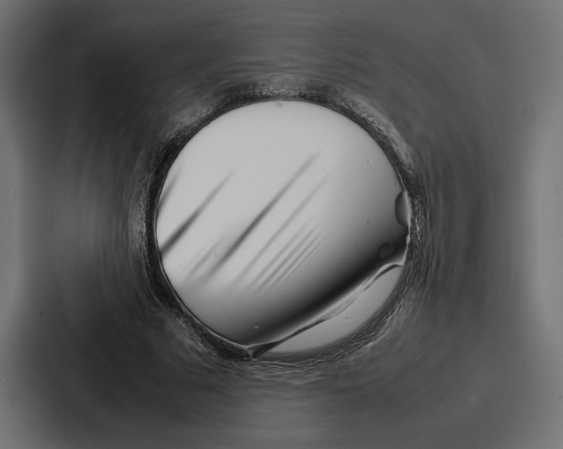 X0000086740681200705111635