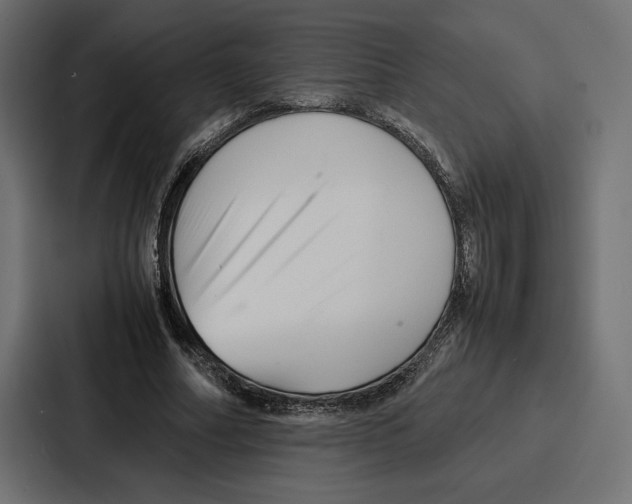 X0000086740682200705111635
