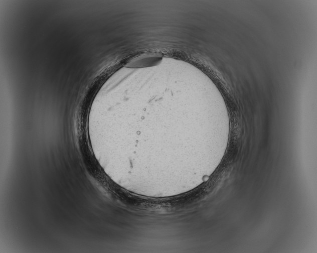 X0000086740683200705111635