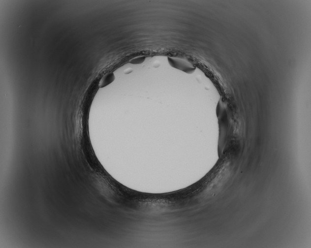 X0000086740685200705111635