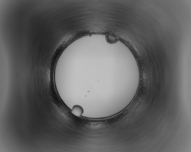 X0000086740686200705111635