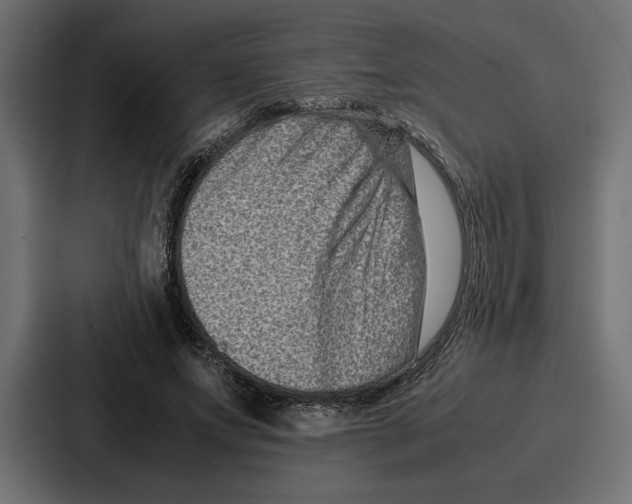 X0000086740687200705111635
