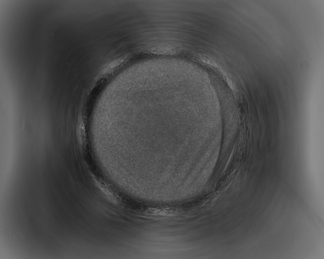 X0000086740688200705111635