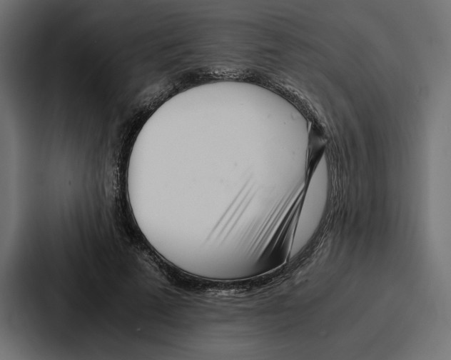X0000086740689200705111635