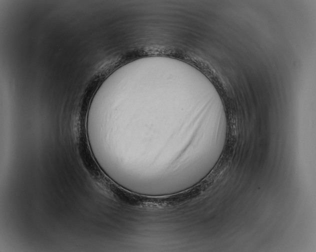 X0000086740690200705111635