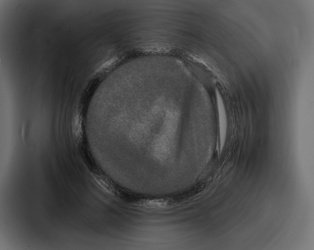 X0000086740692200705111635