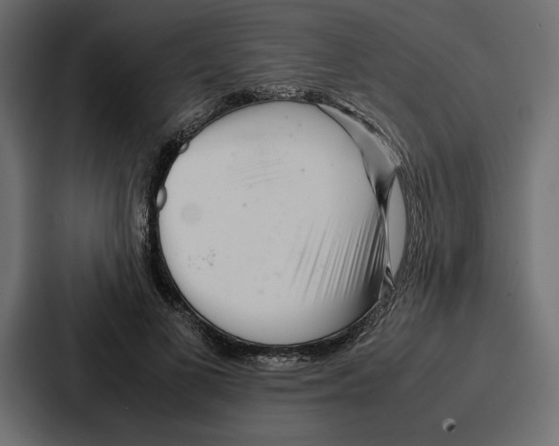 X0000086740693200705111635