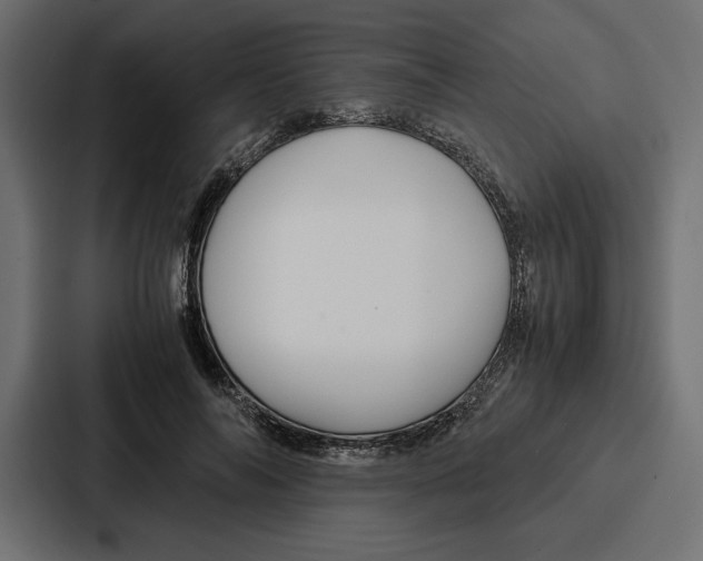 X0000086740694200705111635