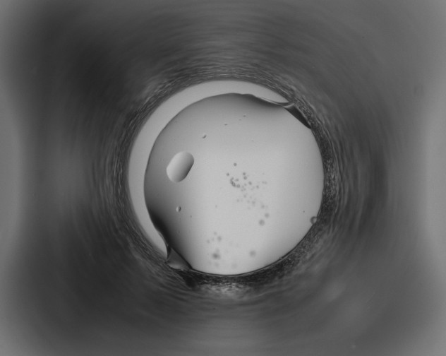 X0000086740695200705111635