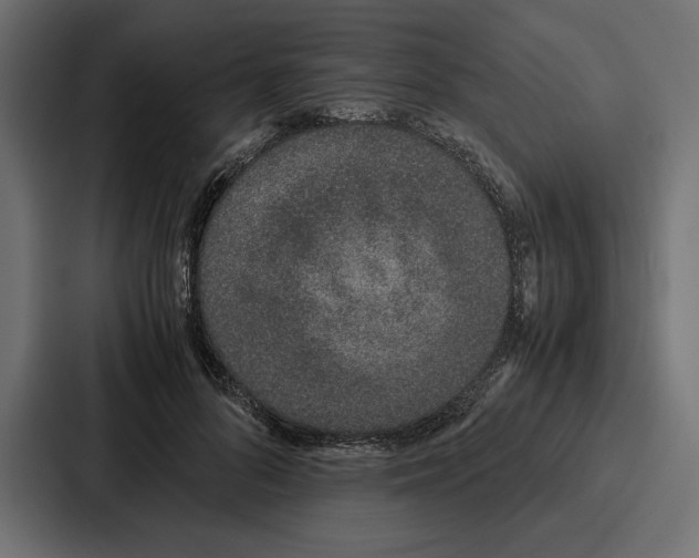 X0000086740696200705111635