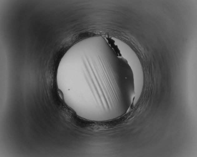 X0000086740697200705111635