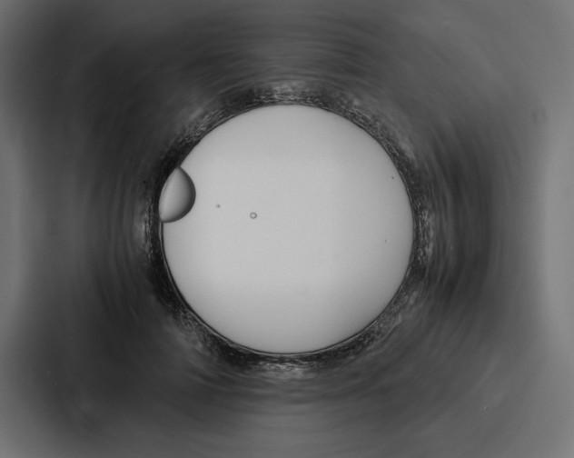 X0000086740698200705111635