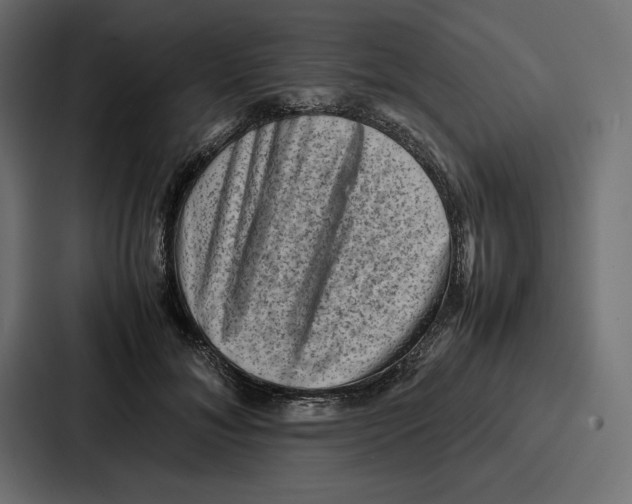 X0000086740700200705111635