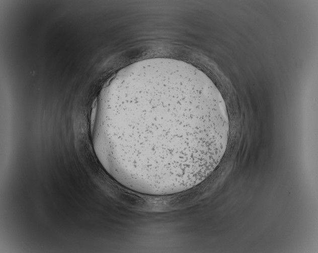 X0000086740701200705111635