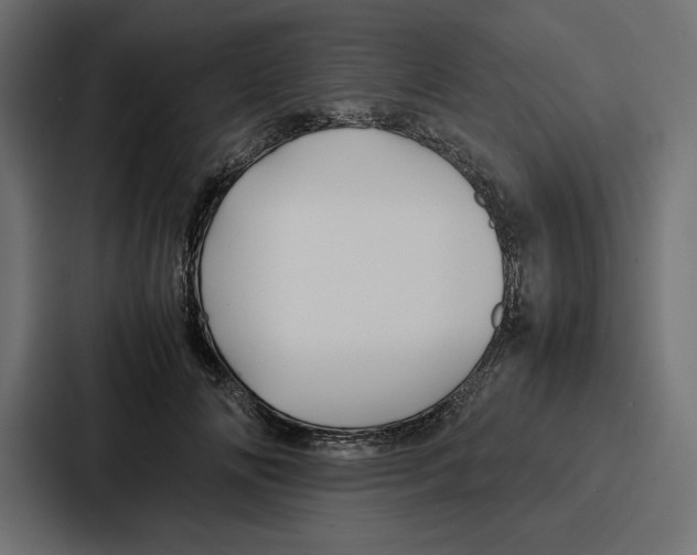 X0000086740702200705111635