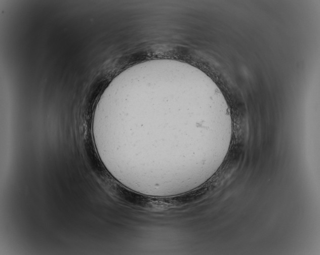 X0000086740703200705111635
