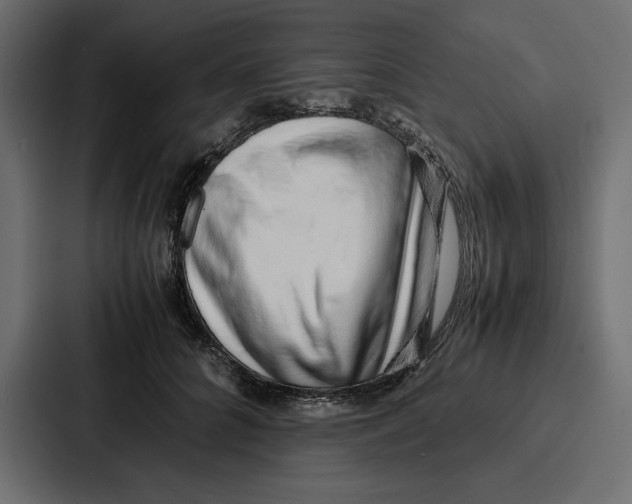 X0000086740704200705111635