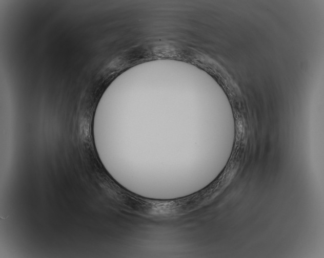 X0000086740705200705111635