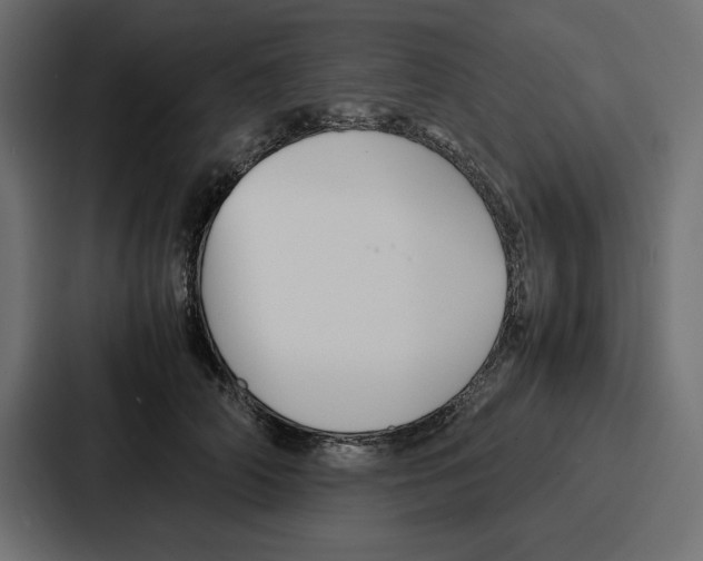 X0000086740706200705111635