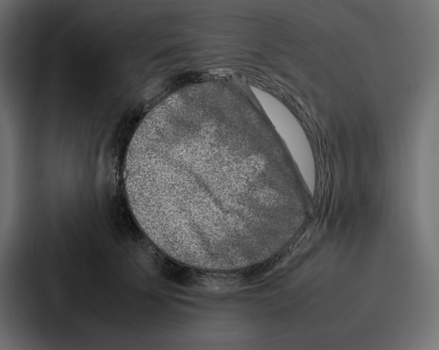 X0000086740707200705111635