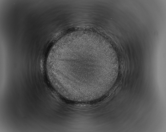 X0000086740708200705111635