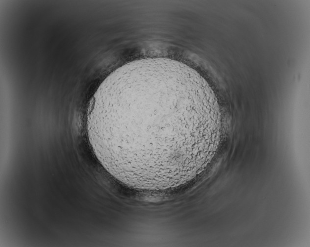 X0000086740709200705111635