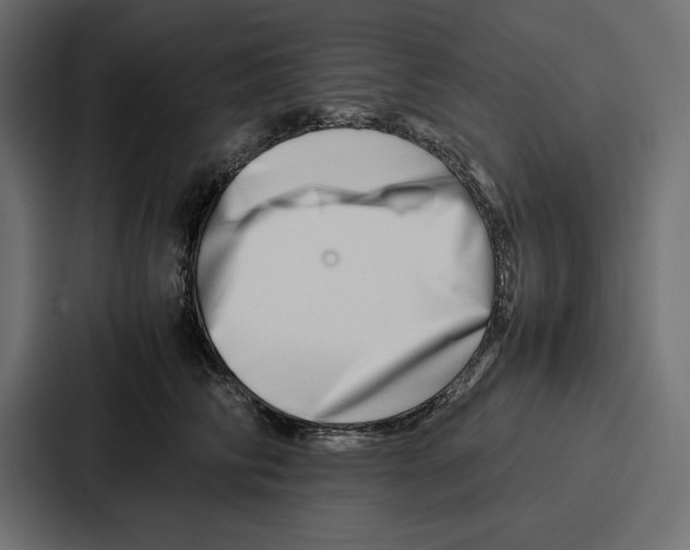 X0000086740710200705111635