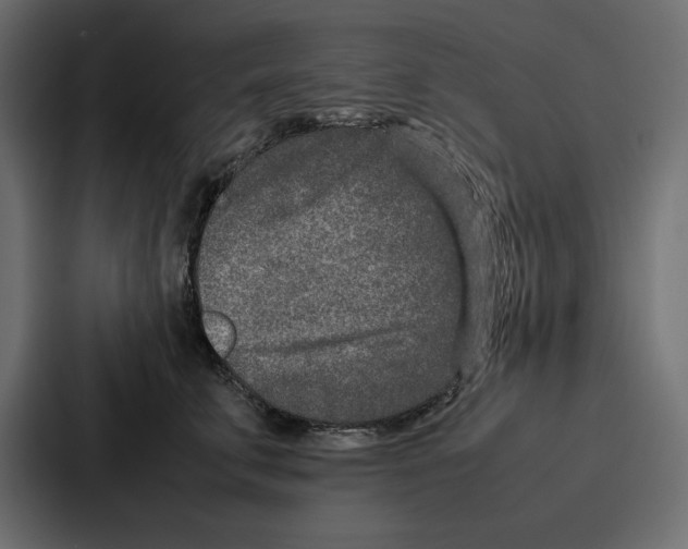 X0000086740711200705111635