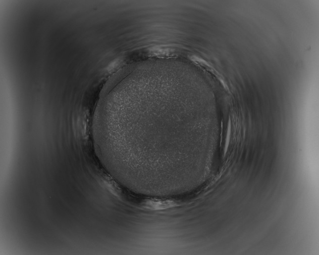 X0000086740712200705111635