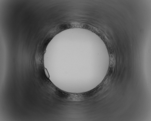X0000086740713200705111635