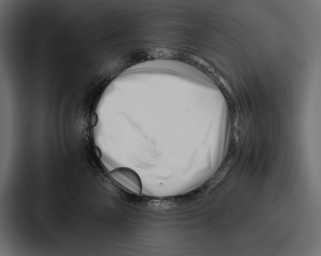 X0000086740714200705111635