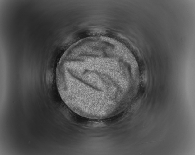 X0000086740715200705111635