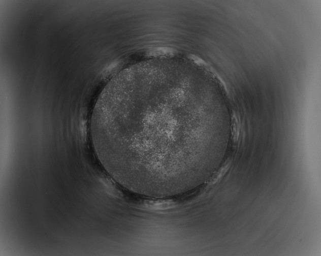 X0000086740716200705111635