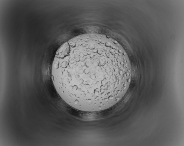 X0000086740717200705111635