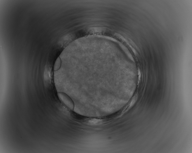 X0000086740718200705111635