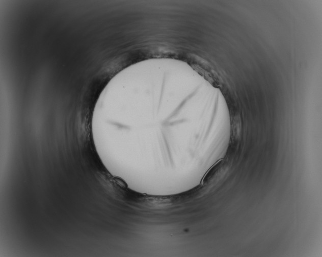 X0000086740719200705111635