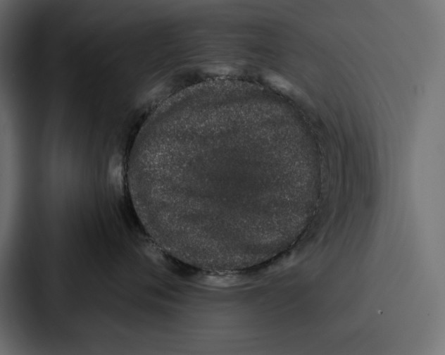 X0000086740720200705111635