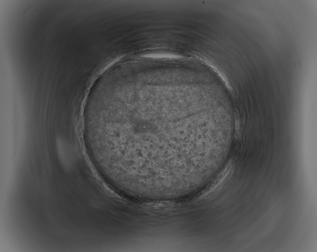 X0000086740721200705111634