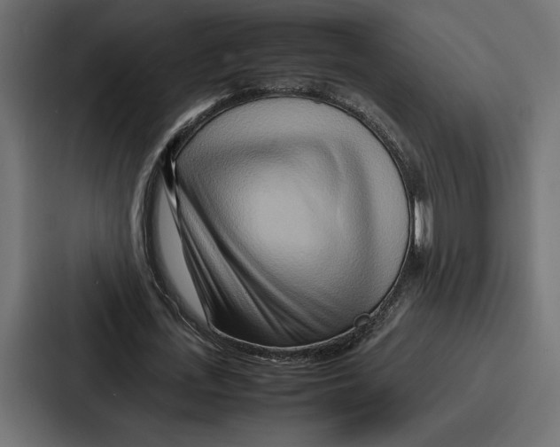 X0000086740723200705111634