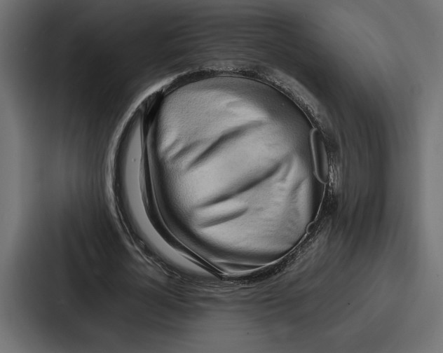 X0000086740724200705111634