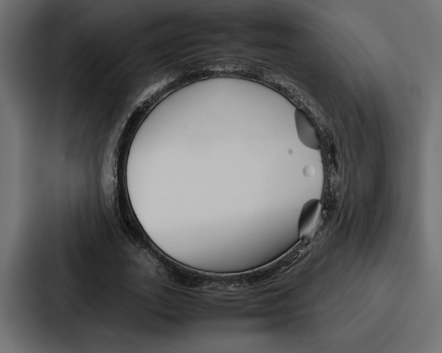 X0000086740727200705111634