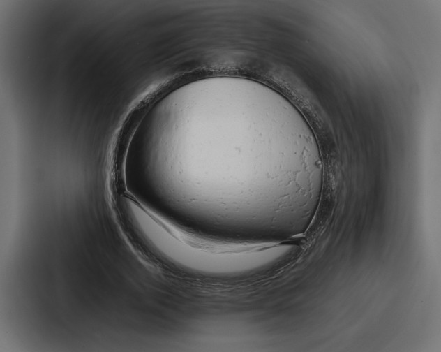 X0000086740728200705111634