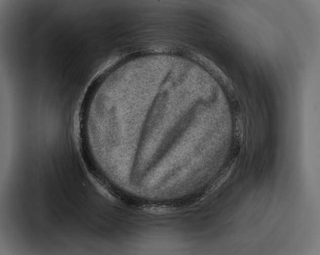 X0000086740730200705111634