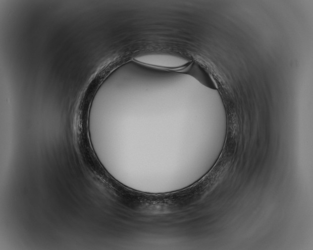 X0000086740731200705111634